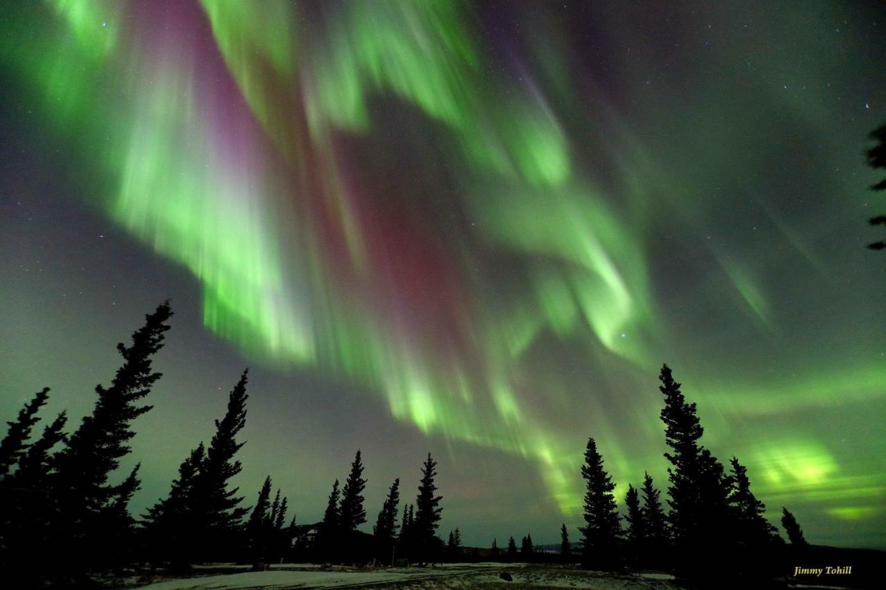 Denali King Suite With Amazing Views Хили Экстерьер фото